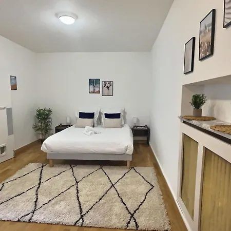 Apartment Plein Centre 8pers 4ch 2sdb, Terrasse, Billard Roe Angers