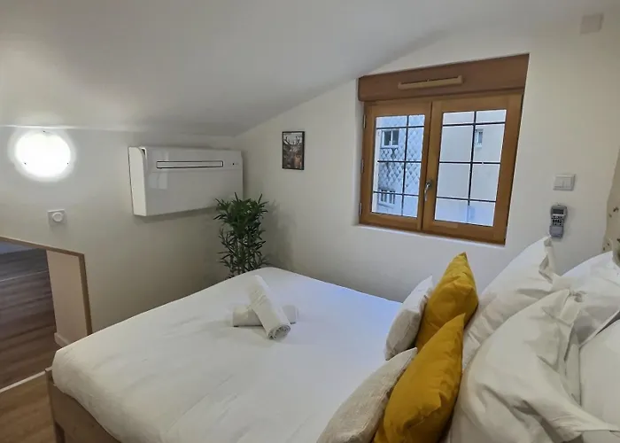 Plein Centre 8pers 4ch 2sdb, Terrasse, Billard Roe * Анже