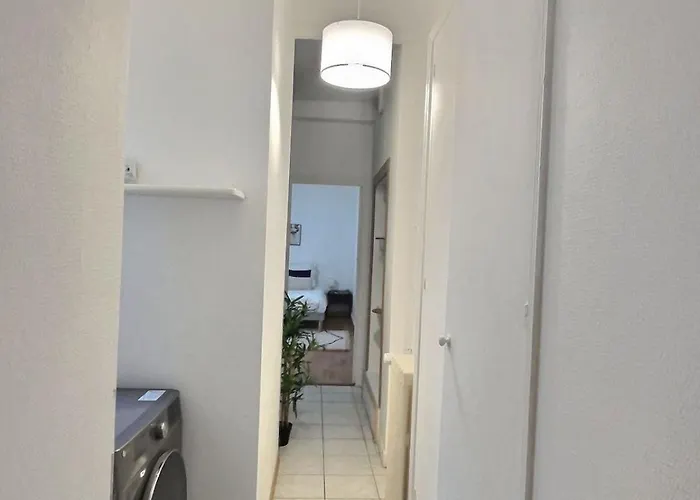 Plein Centre 8pers 4ch 2sdb, Terrasse, Billard Roe Анже